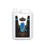 Gusto Blue Raspberry Slush (5LTR)