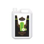 Gusto Green Apple Slush (5LTR)