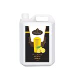 Gusto Lemon Slush (5LTR)