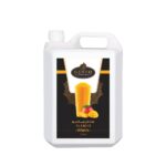 Gusto Mango Slush (5LTR)