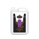 Gusto Mixed Berries Slush (5LTR)